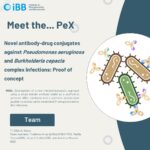 Exploratory Project (PeX): Novel antibody-drug conjugates against Pseudomonas aeruginosa and Burkholderia cepacia complex infections: Proof of concept